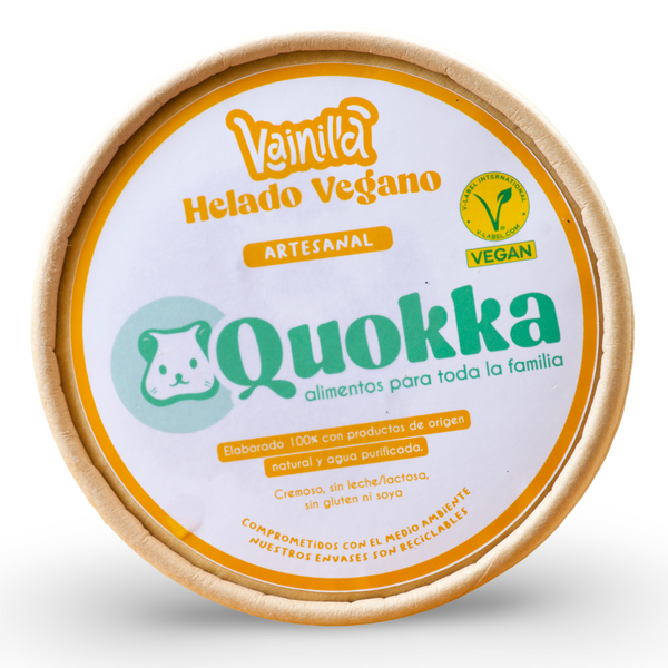 Helado Artesanal sabor Vainilla 240ml.