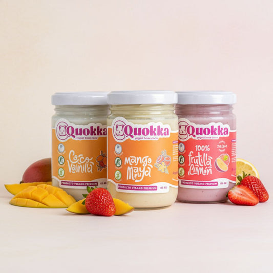 Yogurt Vegano de Coco Pack 3 x 150gr. Mix Sabores